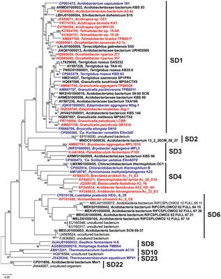 Pheno- and Genotyping of Hopanoid Production in Acidobacteria